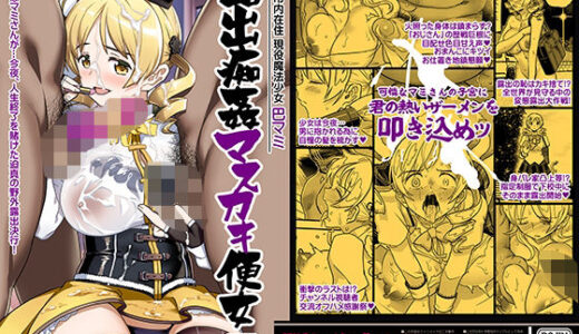 露出痴姦マスカキ便女